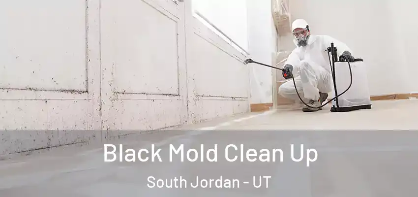  Black Mold Clean Up South Jordan - UT
