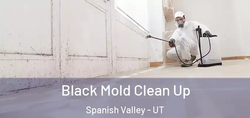 Black Mold Clean Up Spanish Valley - UT