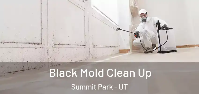  Black Mold Clean Up Summit Park - UT