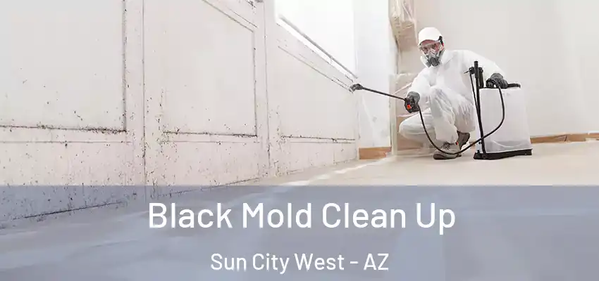  Black Mold Clean Up Sun City West - AZ