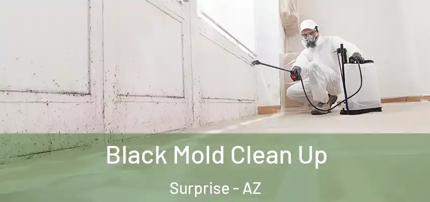 Black Mold Clean Up Surprise - AZ
