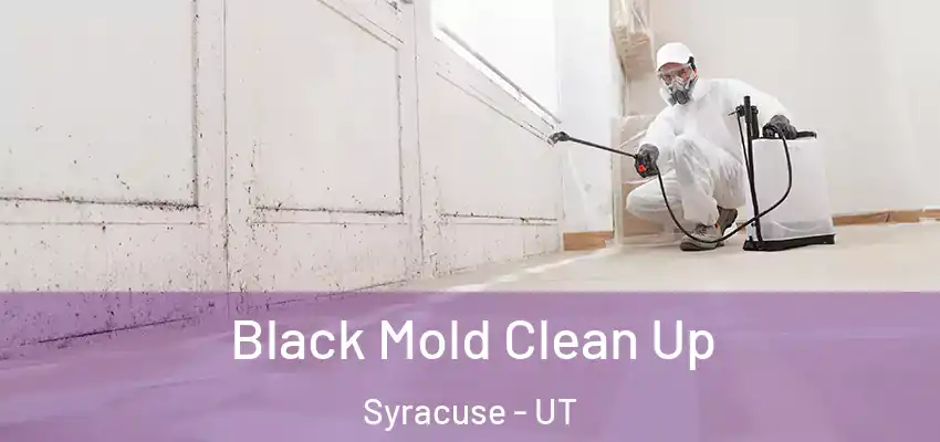  Black Mold Clean Up Syracuse - UT