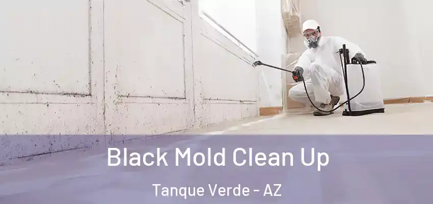  Black Mold Clean Up Tanque Verde - AZ