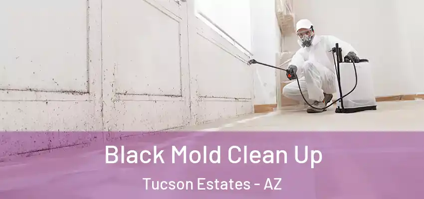  Black Mold Clean Up Tucson Estates - AZ