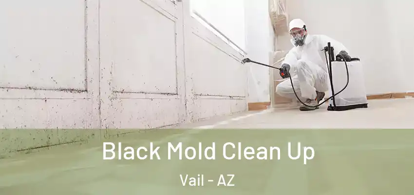Black Mold Clean Up Vail - AZ