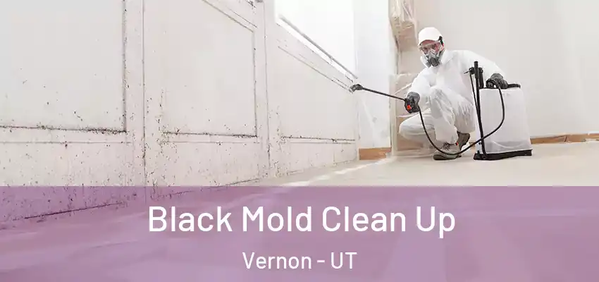  Black Mold Clean Up Vernon - UT