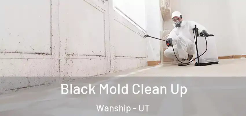  Black Mold Clean Up Wanship - UT