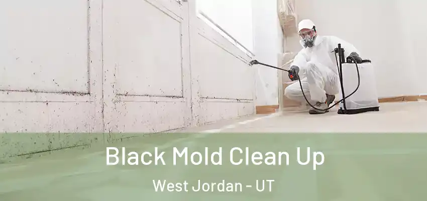 Black Mold Clean Up West Jordan - UT
