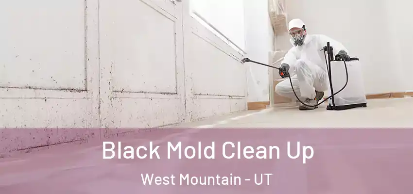  Black Mold Clean Up West Mountain - UT