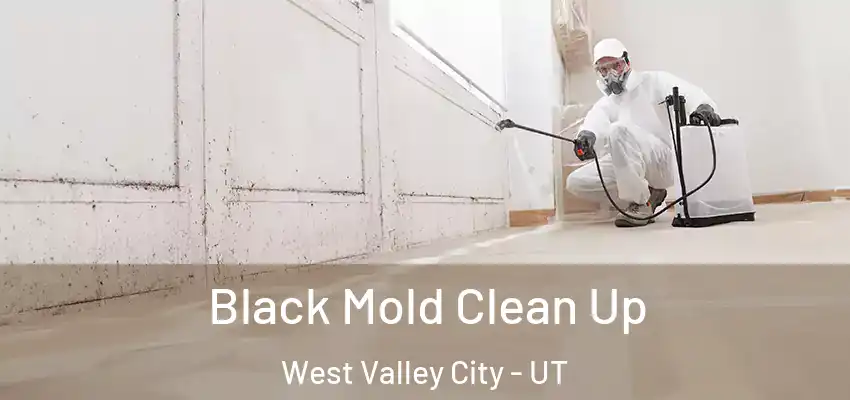  Black Mold Clean Up West Valley City - UT
