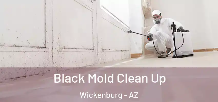 Black Mold Clean Up Wickenburg - AZ