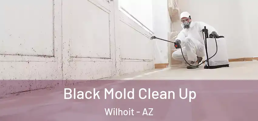  Black Mold Clean Up Wilhoit - AZ