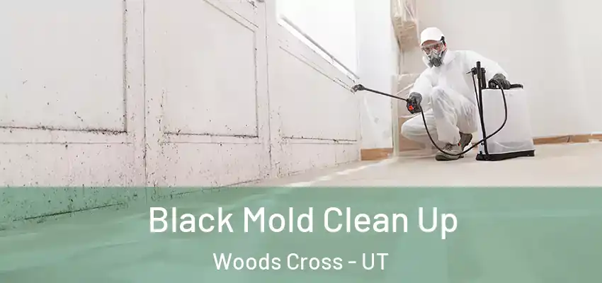  Black Mold Clean Up Woods Cross - UT