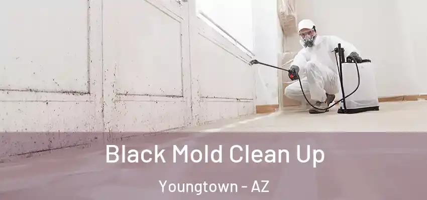  Black Mold Clean Up Youngtown - AZ