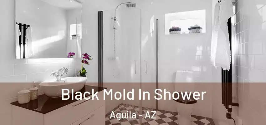  Black Mold In Shower Aguila - AZ