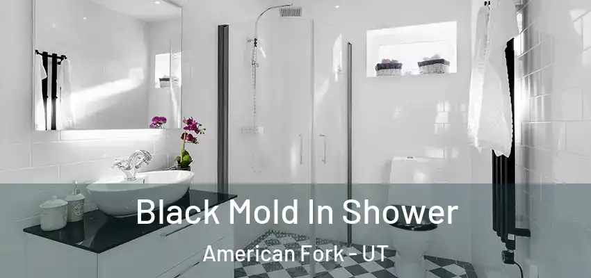  Black Mold In Shower American Fork - UT