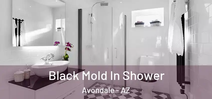  Black Mold In Shower Avondale - AZ