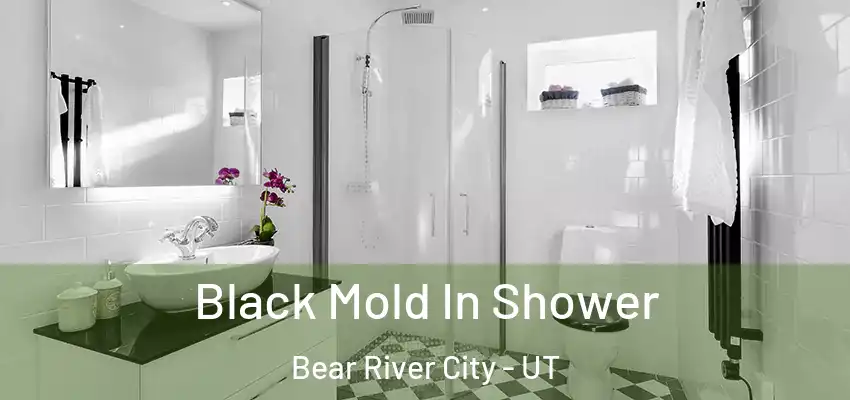  Black Mold In Shower Bear River City - UT