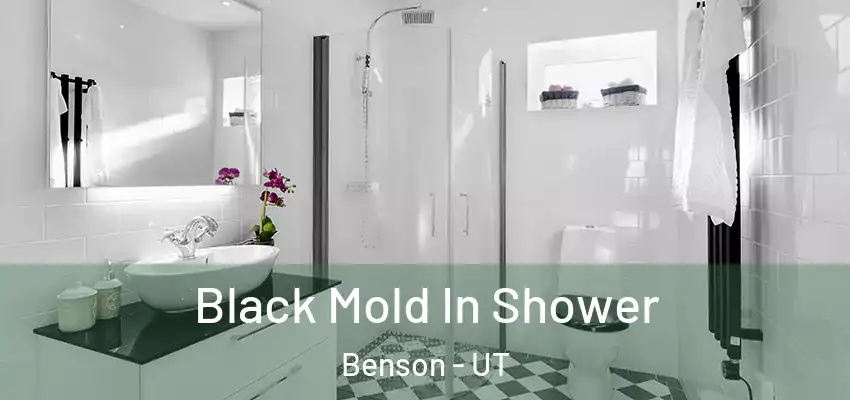  Black Mold In Shower Benson - UT