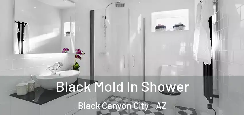  Black Mold In Shower Black Canyon City - AZ
