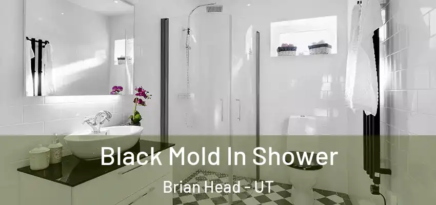 Black Mold In Shower Brian Head - UT