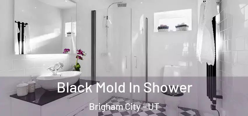  Black Mold In Shower Brigham City - UT
