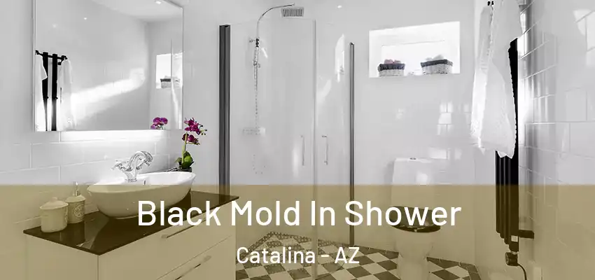  Black Mold In Shower Catalina - AZ
