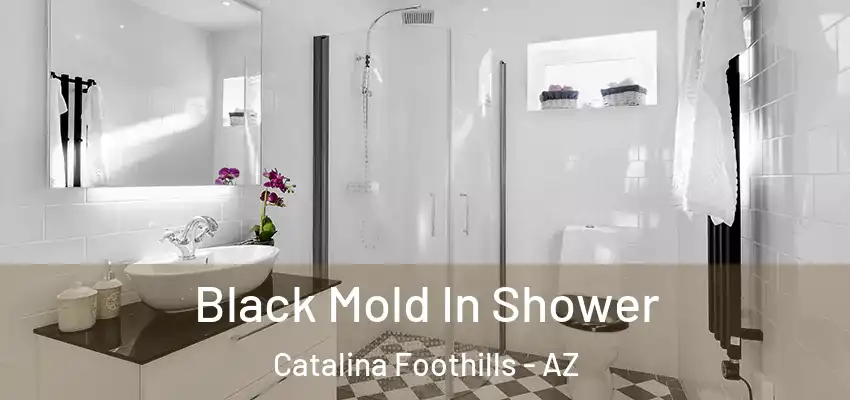  Black Mold In Shower Catalina Foothills - AZ