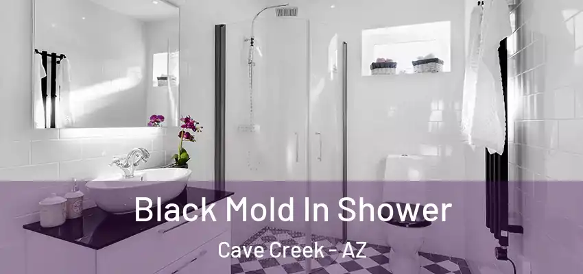  Black Mold In Shower Cave Creek - AZ