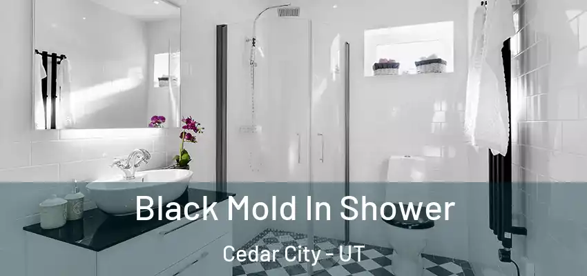  Black Mold In Shower Cedar City - UT