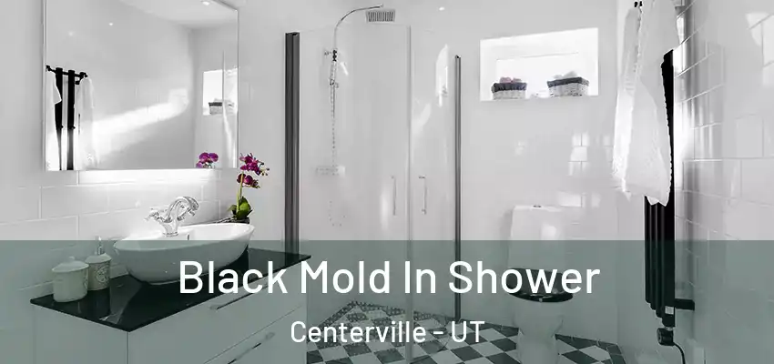  Black Mold In Shower Centerville - UT