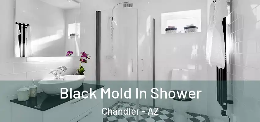  Black Mold In Shower Chandler - AZ