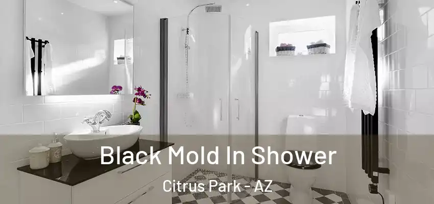  Black Mold In Shower Citrus Park - AZ