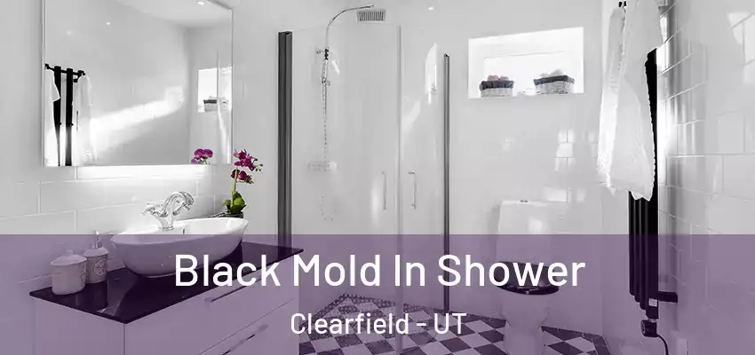 Black Mold In Shower Clearfield - UT