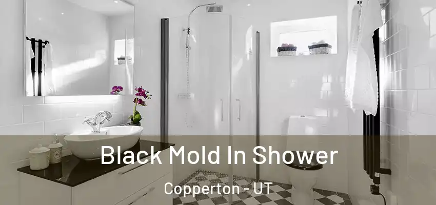  Black Mold In Shower Copperton - UT