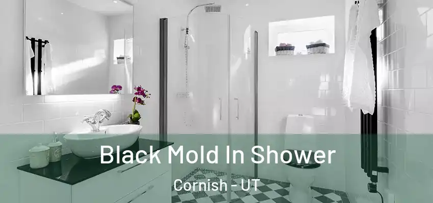  Black Mold In Shower Cornish - UT