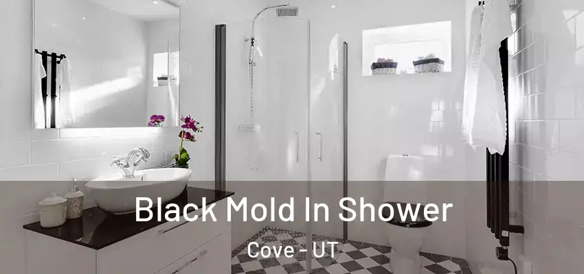  Black Mold In Shower Cove - UT