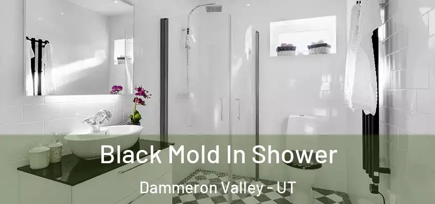  Black Mold In Shower Dammeron Valley - UT