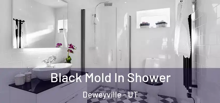  Black Mold In Shower Deweyville - UT