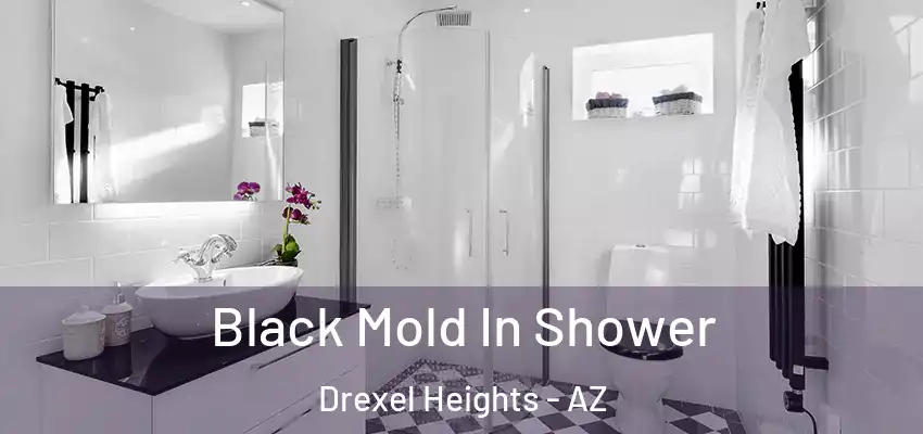  Black Mold In Shower Drexel Heights - AZ