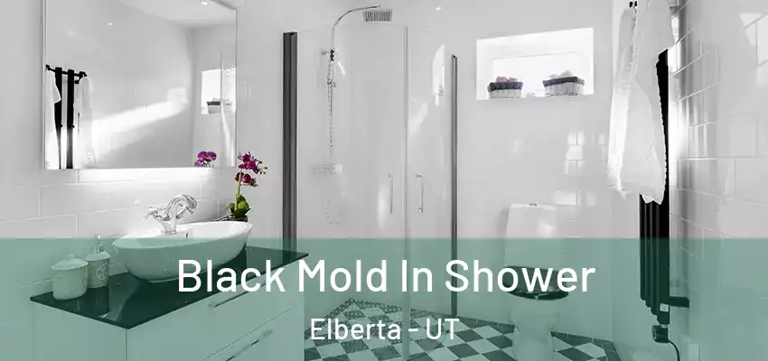  Black Mold In Shower Elberta - UT
