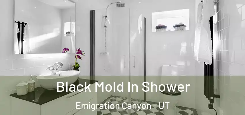  Black Mold In Shower Emigration Canyon - UT