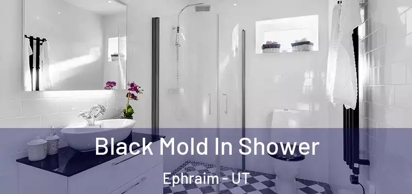  Black Mold In Shower Ephraim - UT