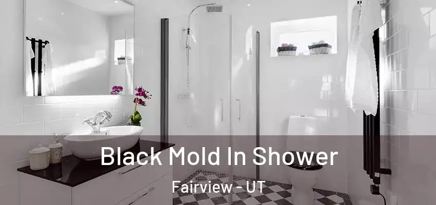 Black Mold In Shower Fairview - UT