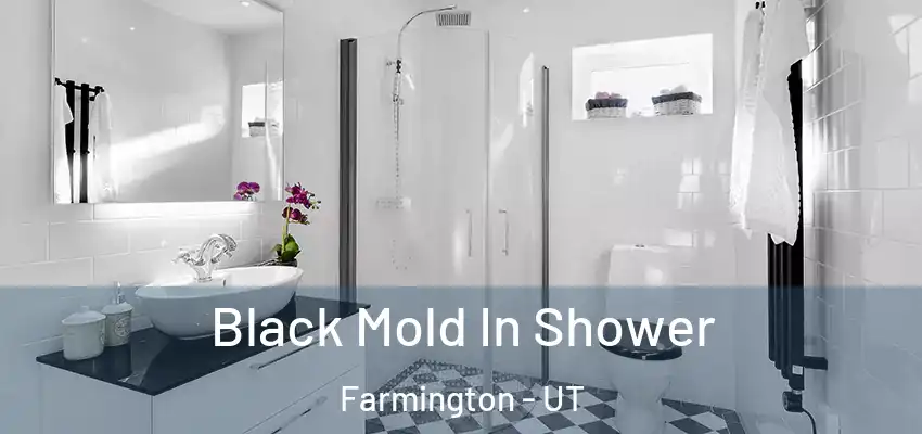 Black Mold In Shower Farmington - UT