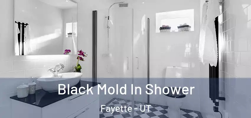 Black Mold In Shower Fayette - UT