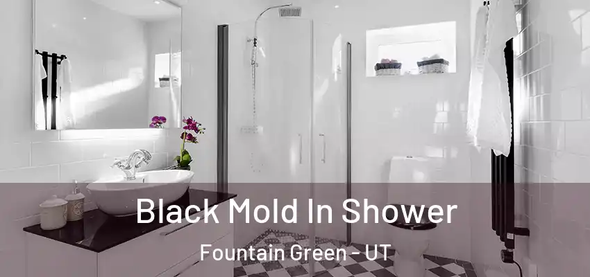  Black Mold In Shower Fountain Green - UT