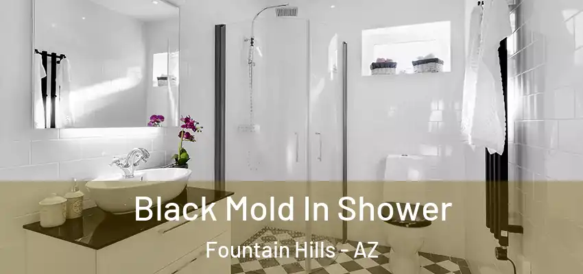  Black Mold In Shower Fountain Hills - AZ