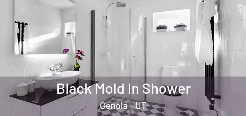 Black Mold In Shower Genola - UT