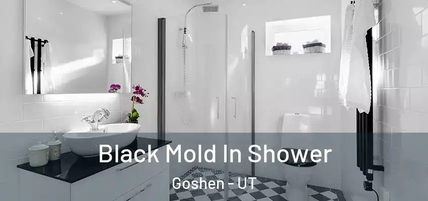  Black Mold In Shower Goshen - UT